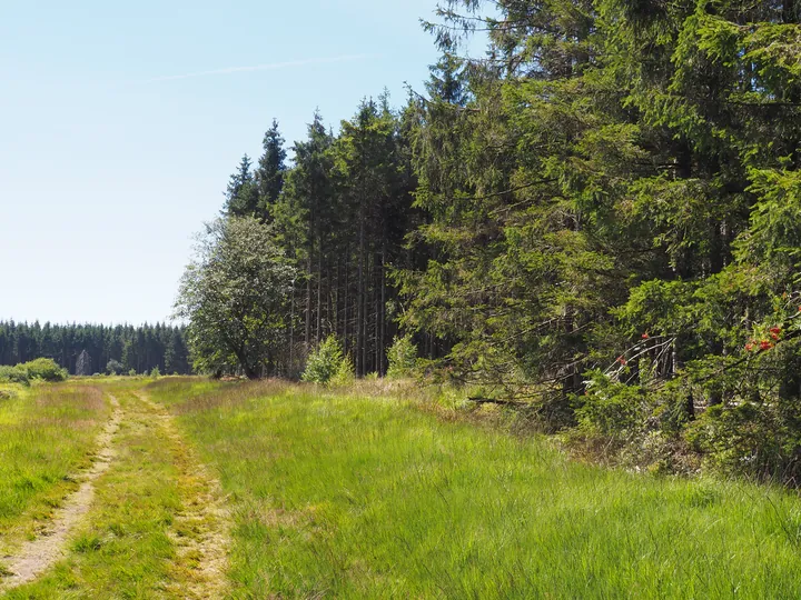 Signal de Botrange (België)